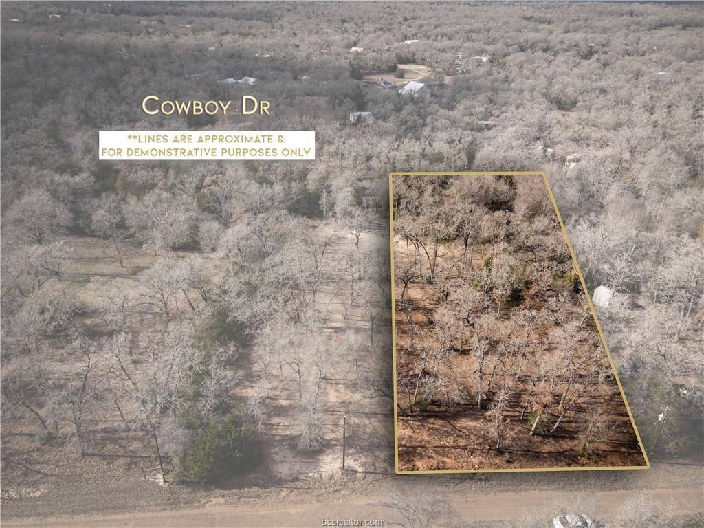 294 Lot Cowboys, Somerville, TX 77879