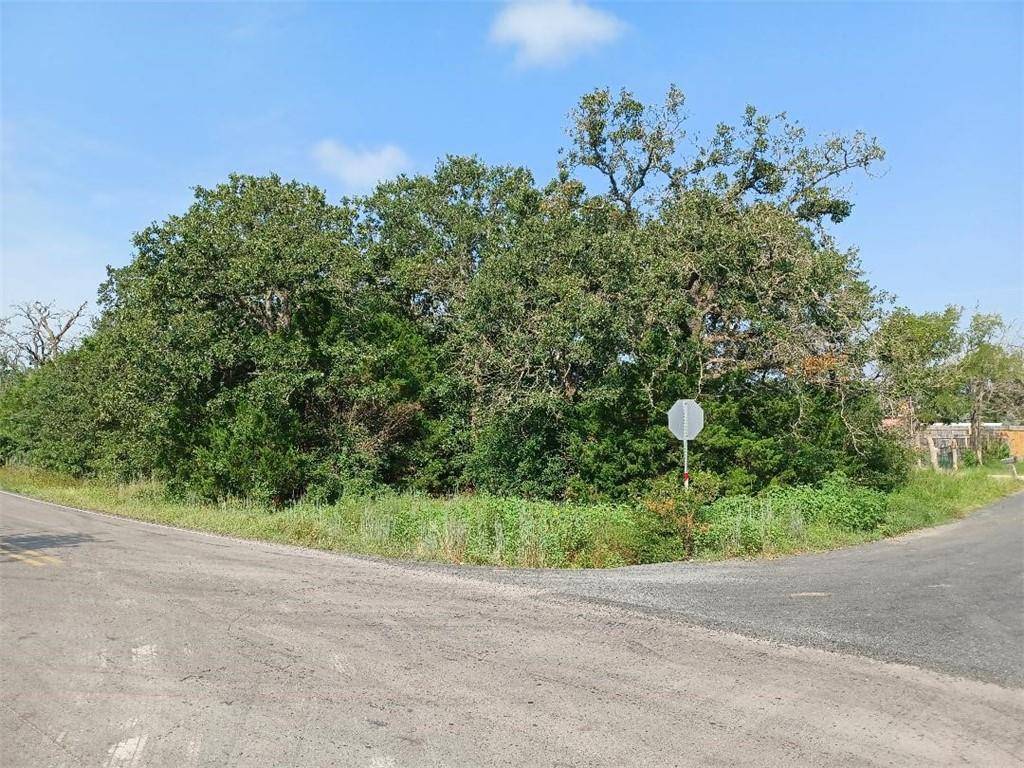 20815 Delorio ST, Manor, TX 78653