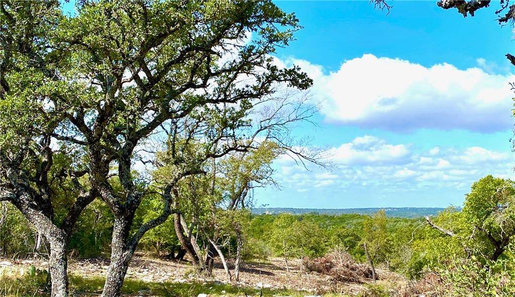 7196 FM 2093 #45, Fredericksburg, TX 78624