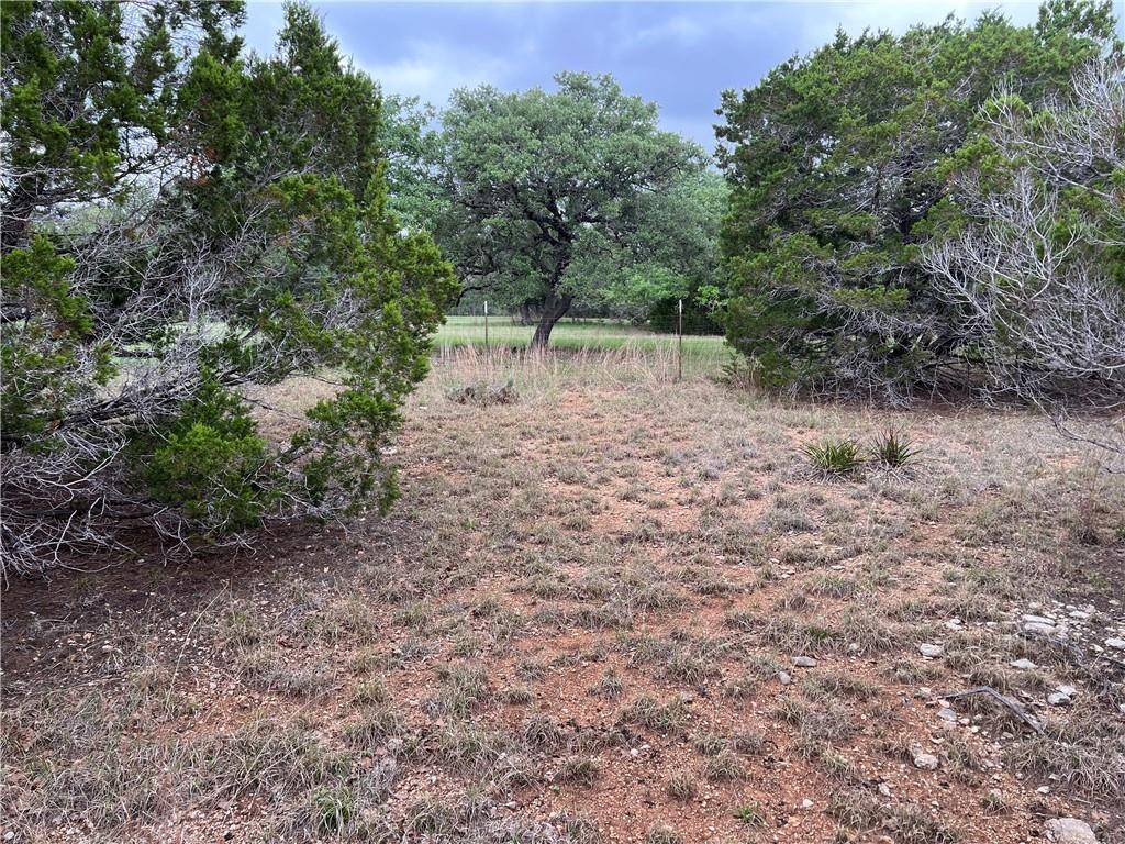 401 Pond DR, Blanco, TX 78606