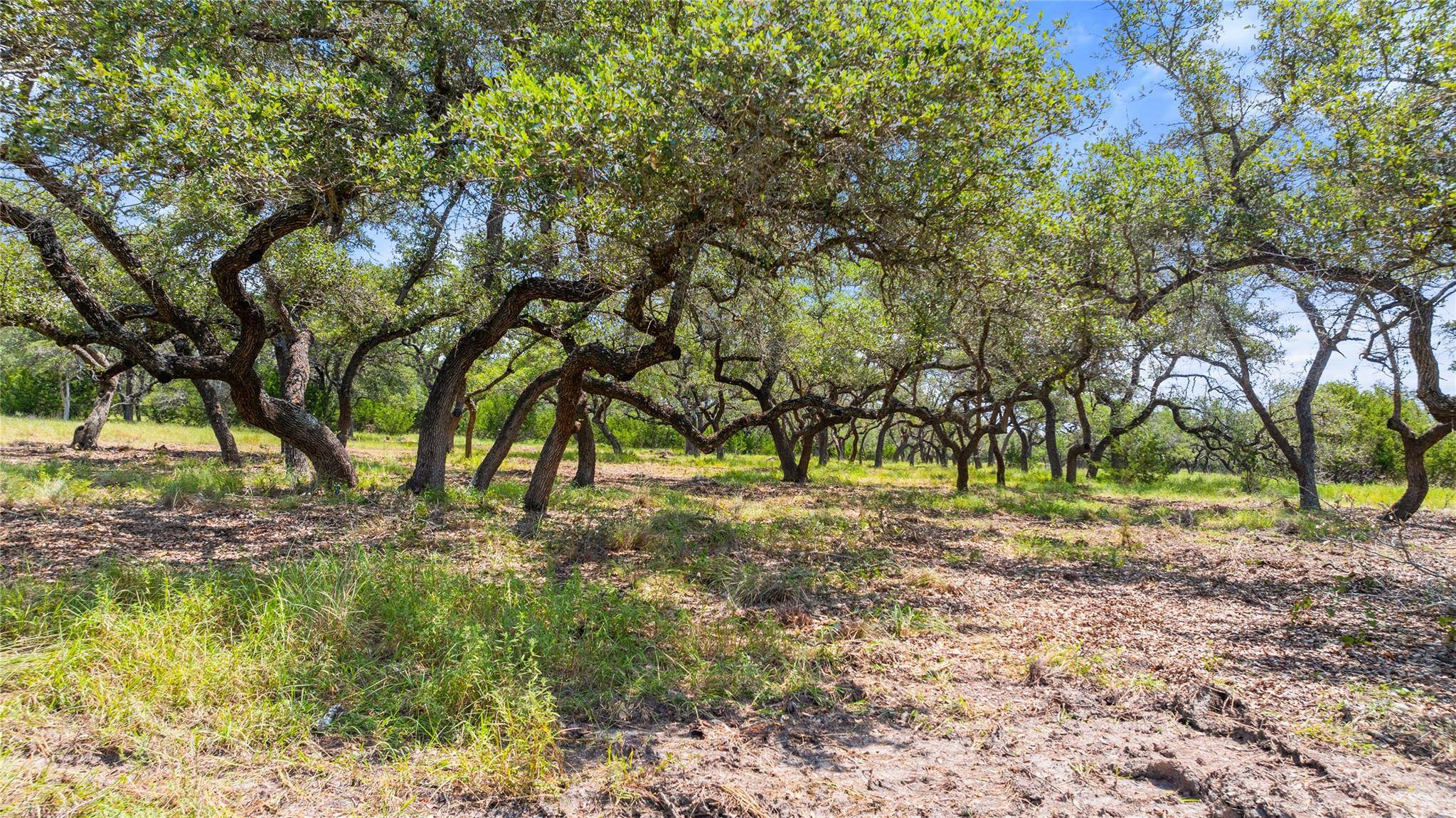 280 Brecken Ranch RD, Fredericksburg, TX 78624