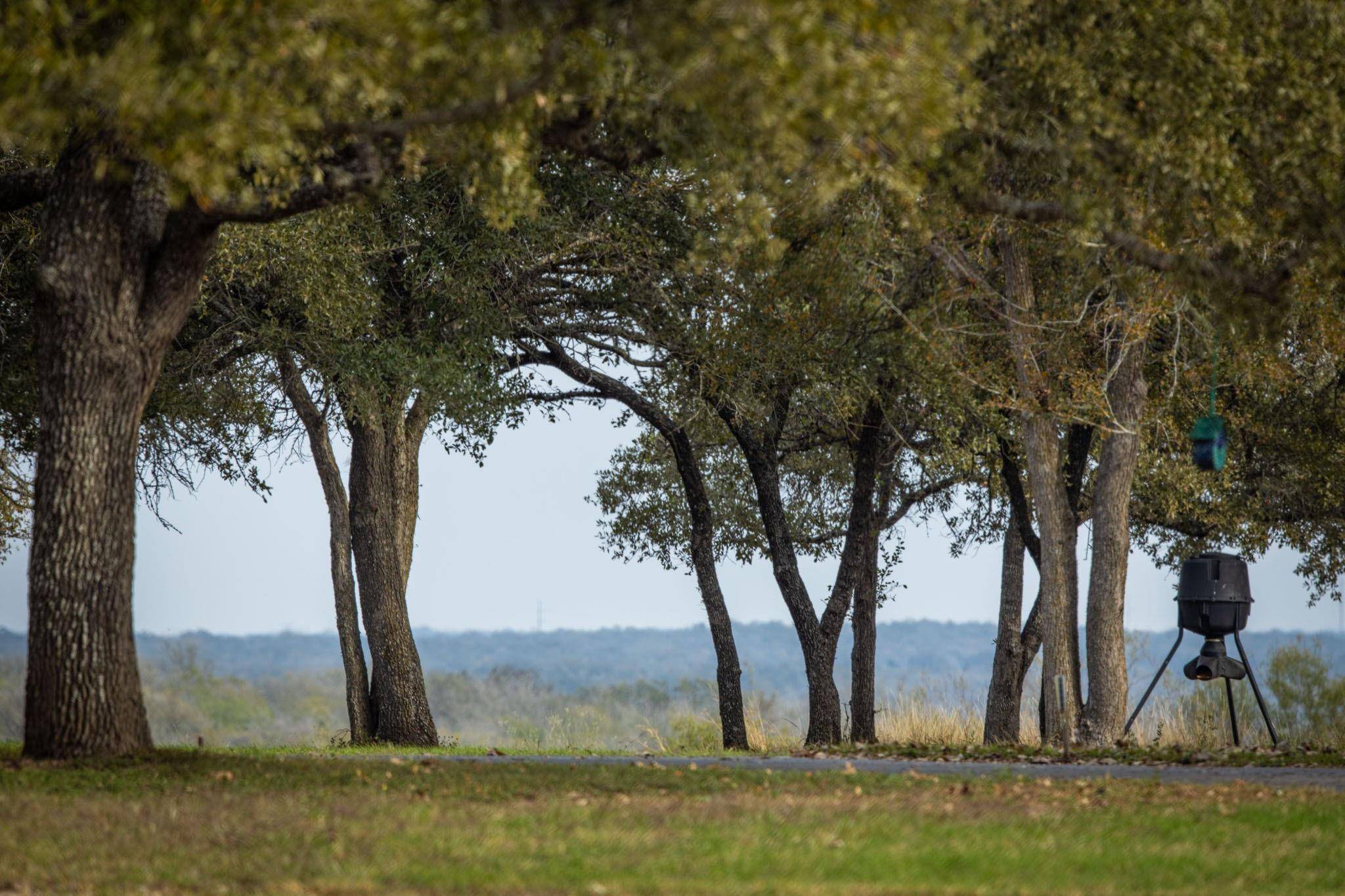 8301 Fm 20, Seguin, TX 78155
