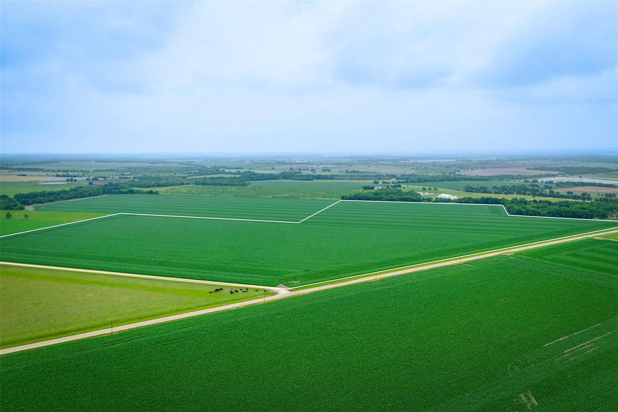 TBD County Road 464, Thorndale, TX 76577