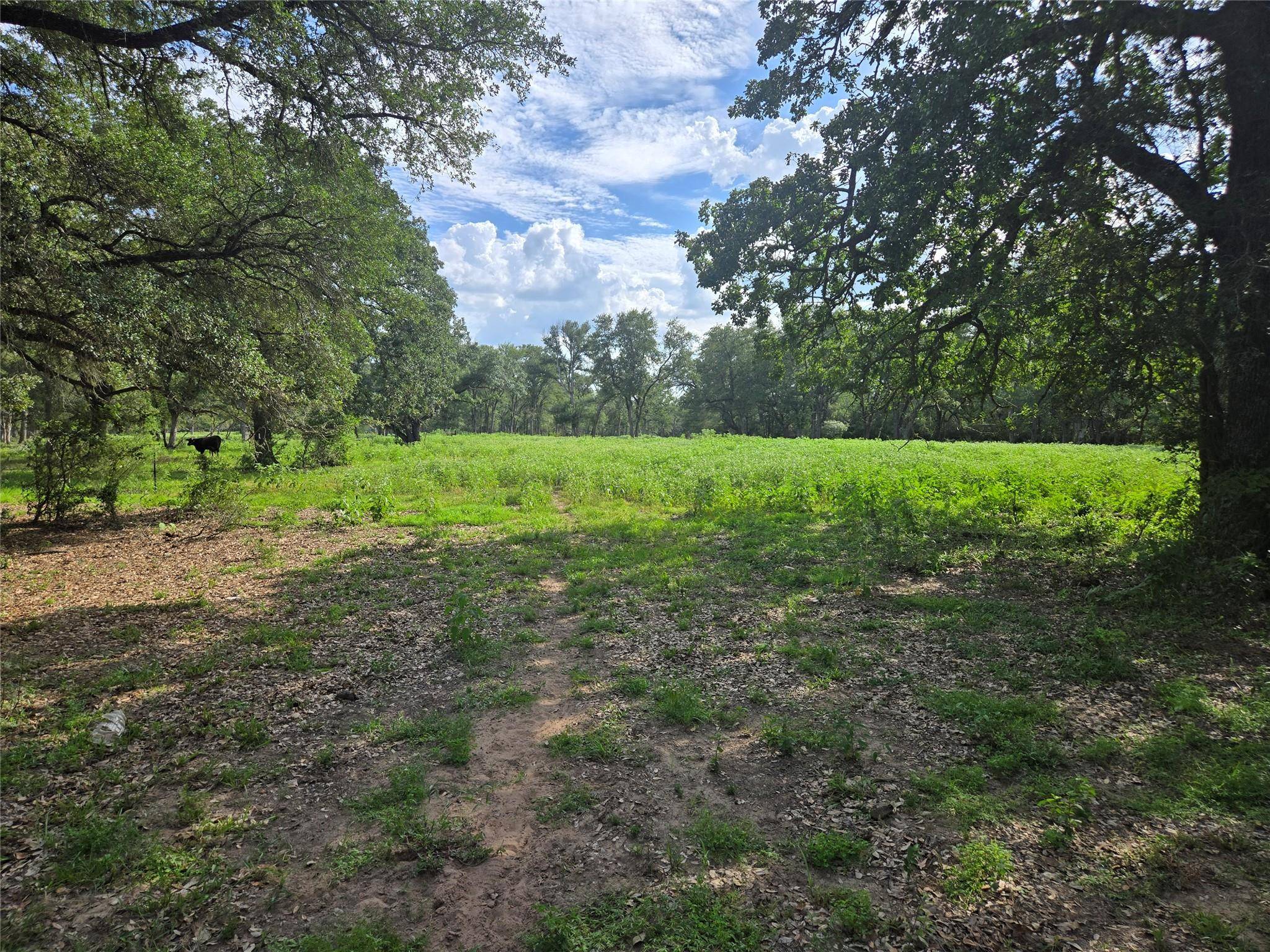 0 SH 304 HWY, Bastrop, TX 78602