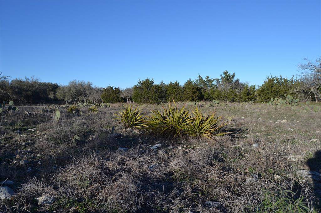738 Rolling Oaks DR, Harper, TX 78631