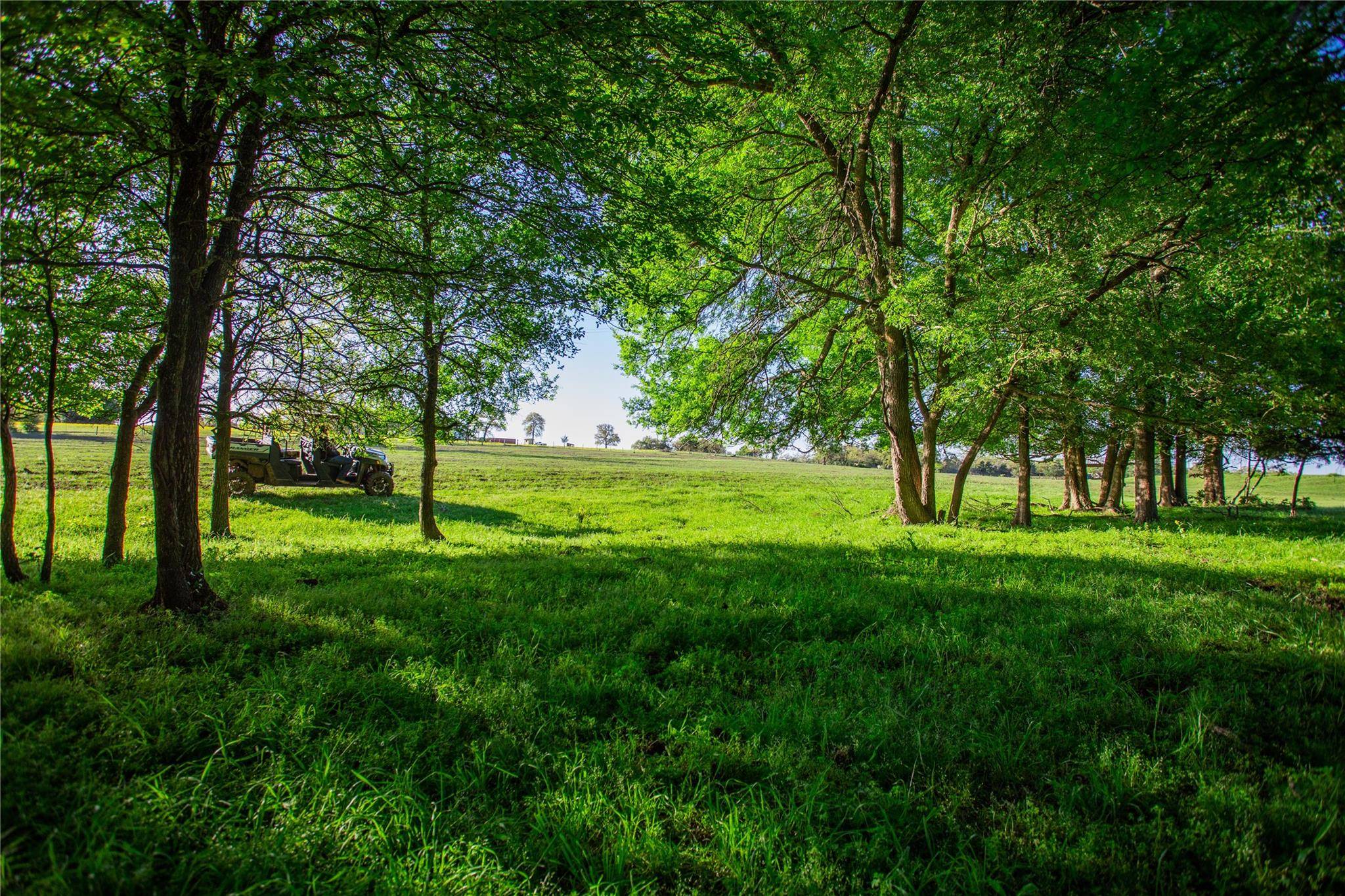 278 Cistern RD, Rosanky, TX 78953