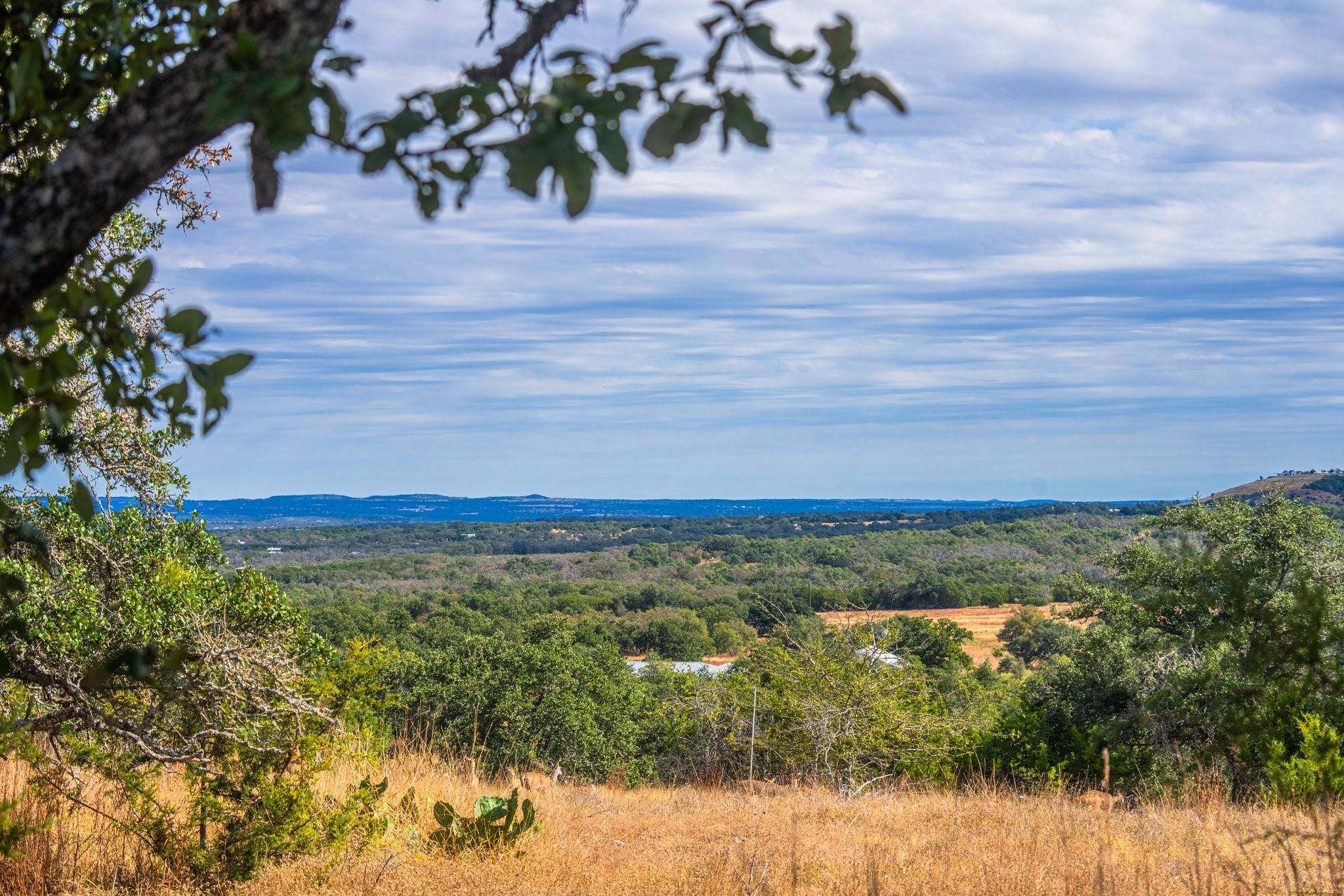 983 Axis CIR, Fredericksburg, TX 78624