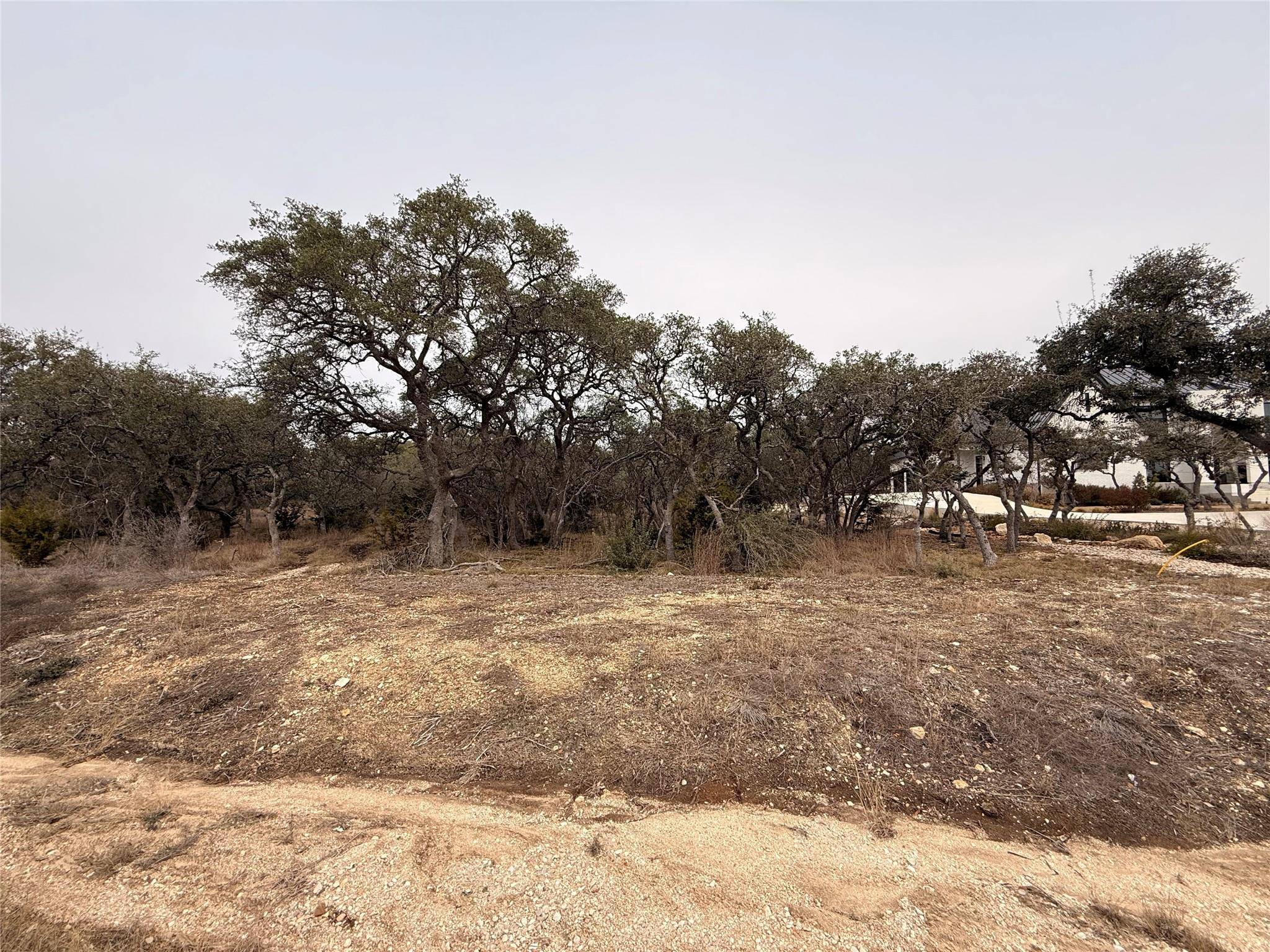 676 Annabelle Ave, Bulverde, TX 78163
