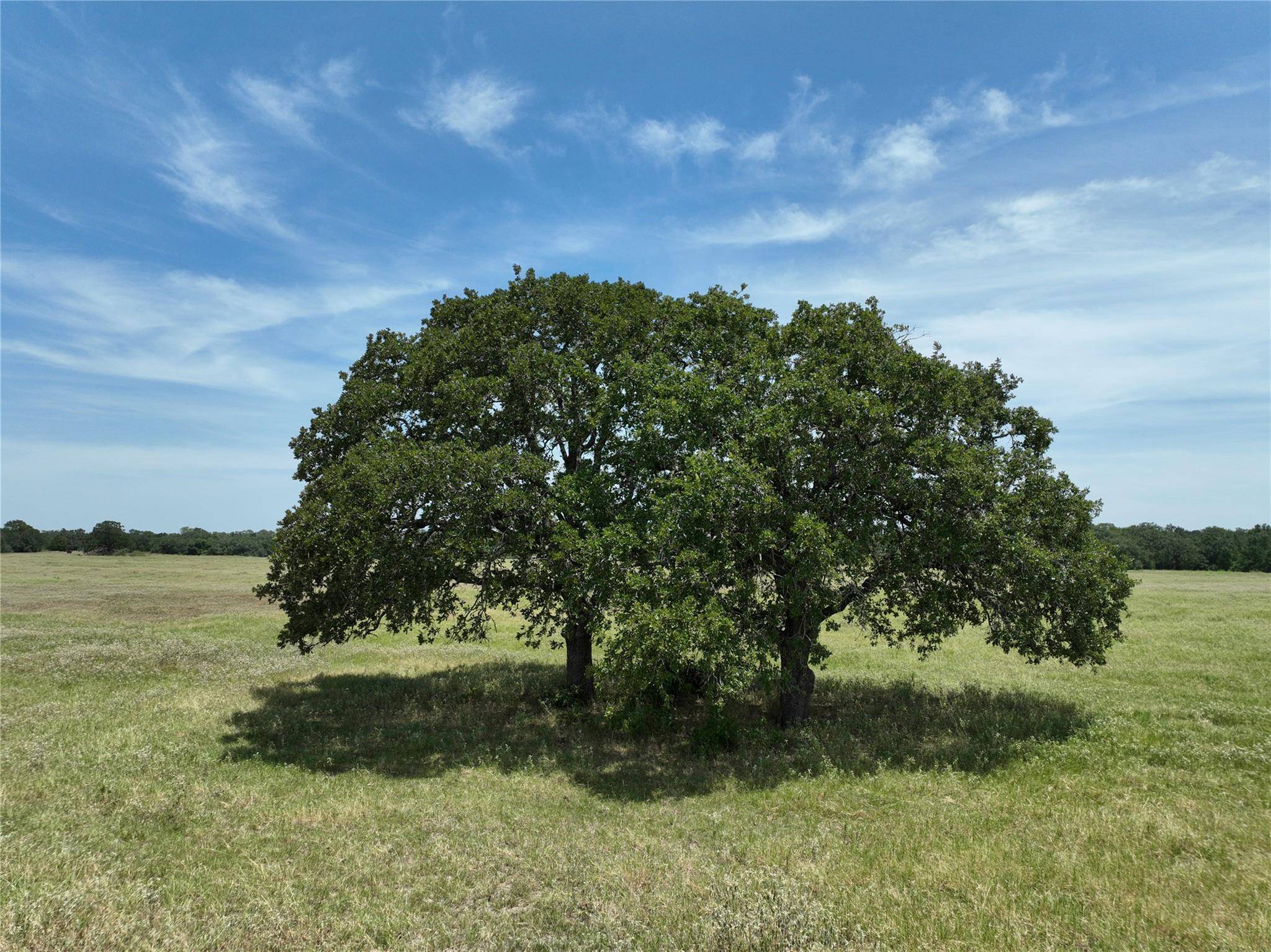 Lot 2 CR 127, Ledbetter, TX 78946
