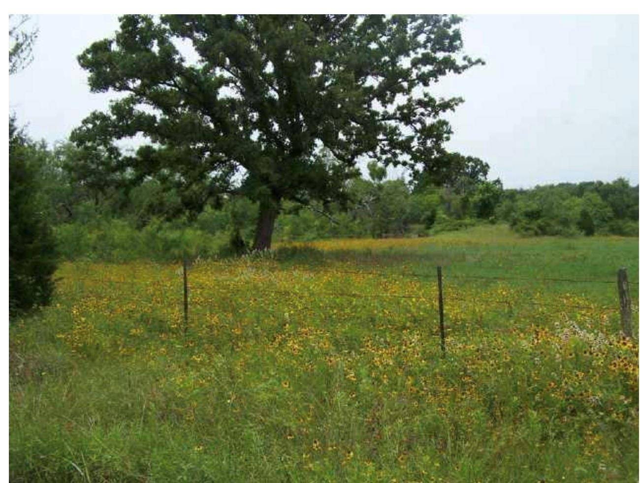 724 Kovar ST, Flatonia, TX 78941
