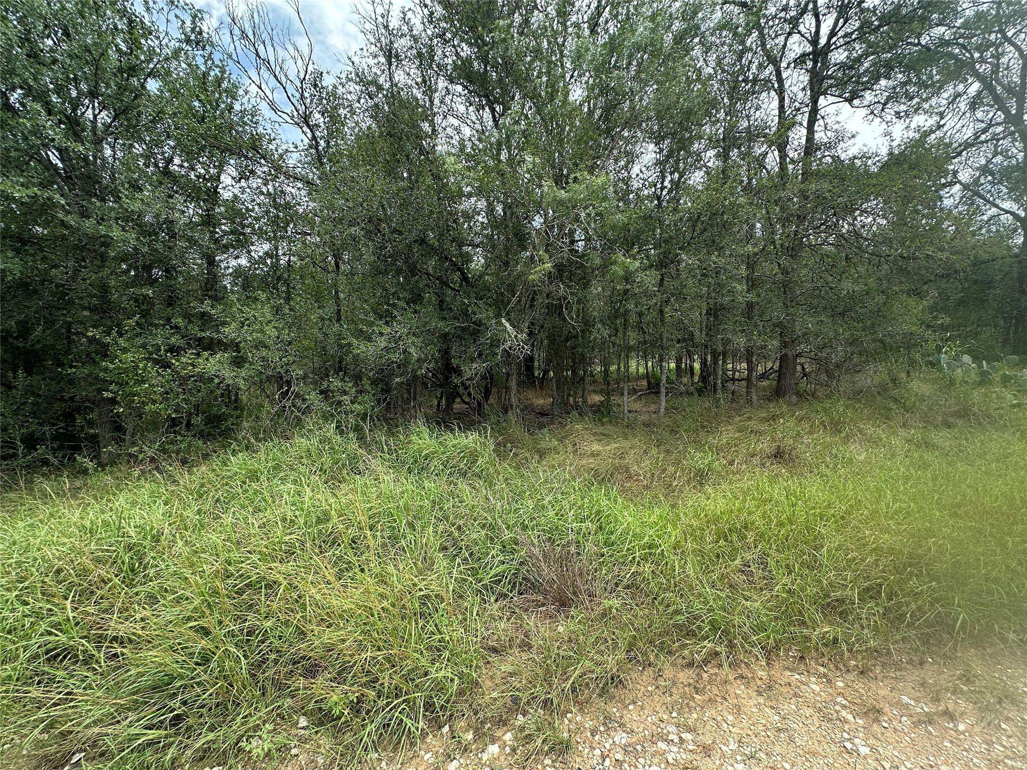187 Puu Waa Waa LN, Bastrop, TX 78602