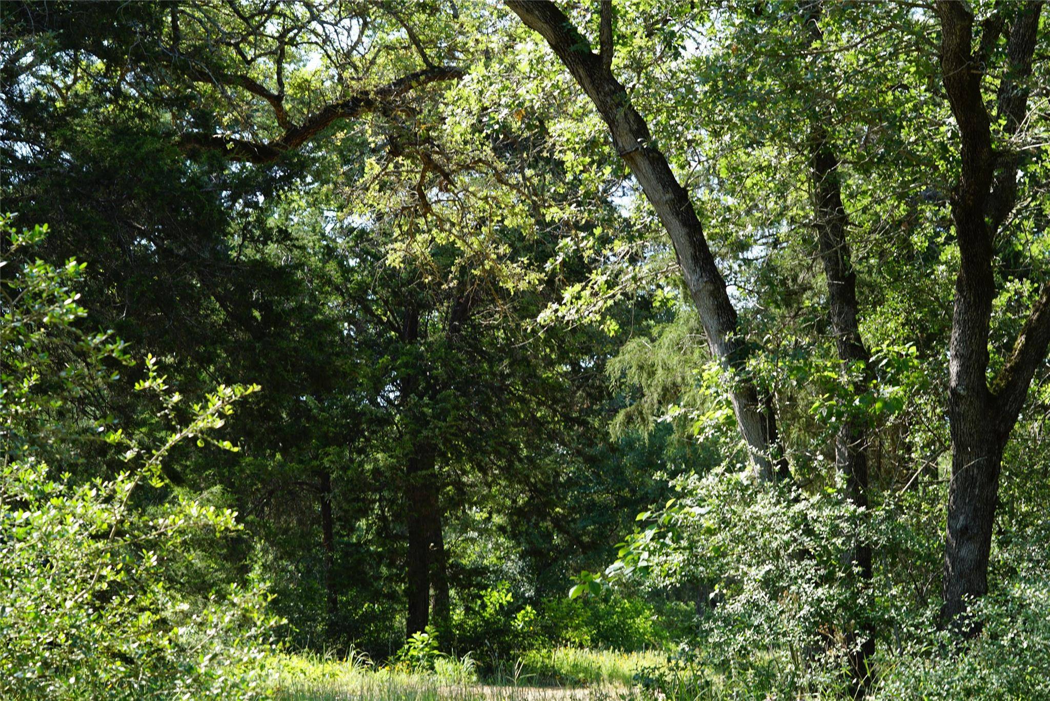 TBD County Road 322, Rockdale, TX 76567