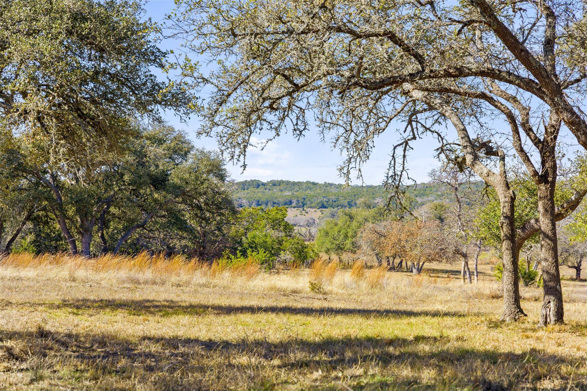 TBD Thriving Oak DR, Fredericksburg, TX 78624