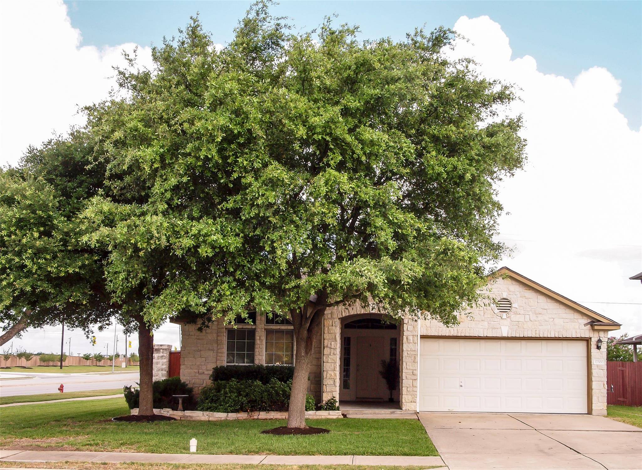 17300 Zola LN, Round Rock, TX 78664