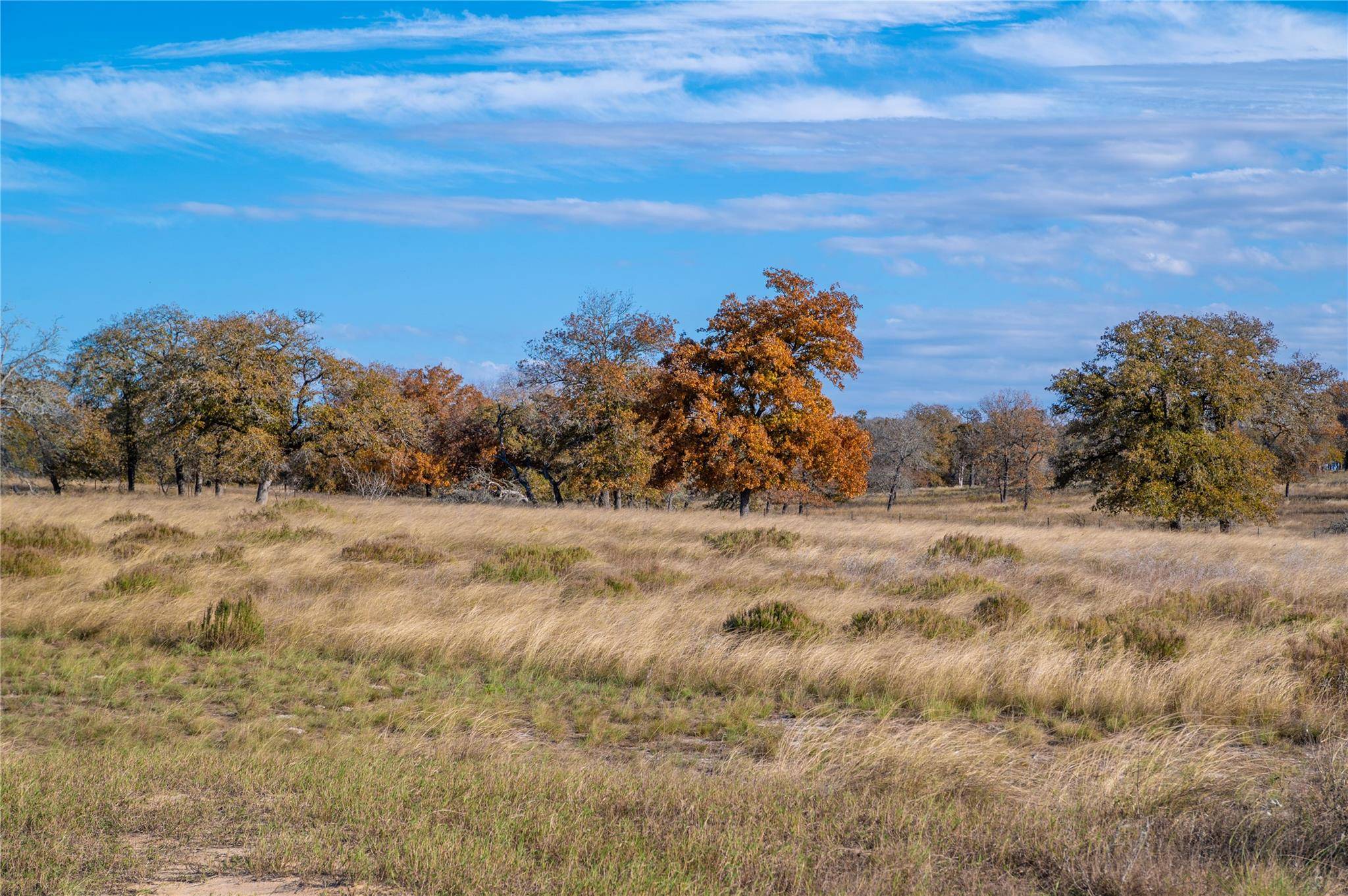 847 Littlehorn LN, Stockdale, TX 78160
