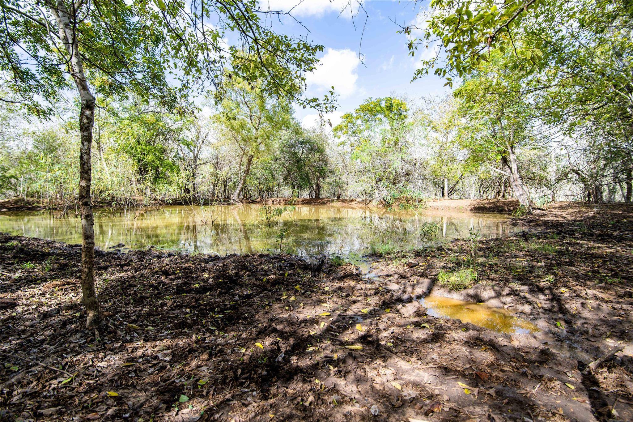 TBD County Road 420, Stockdale, TX 78160
