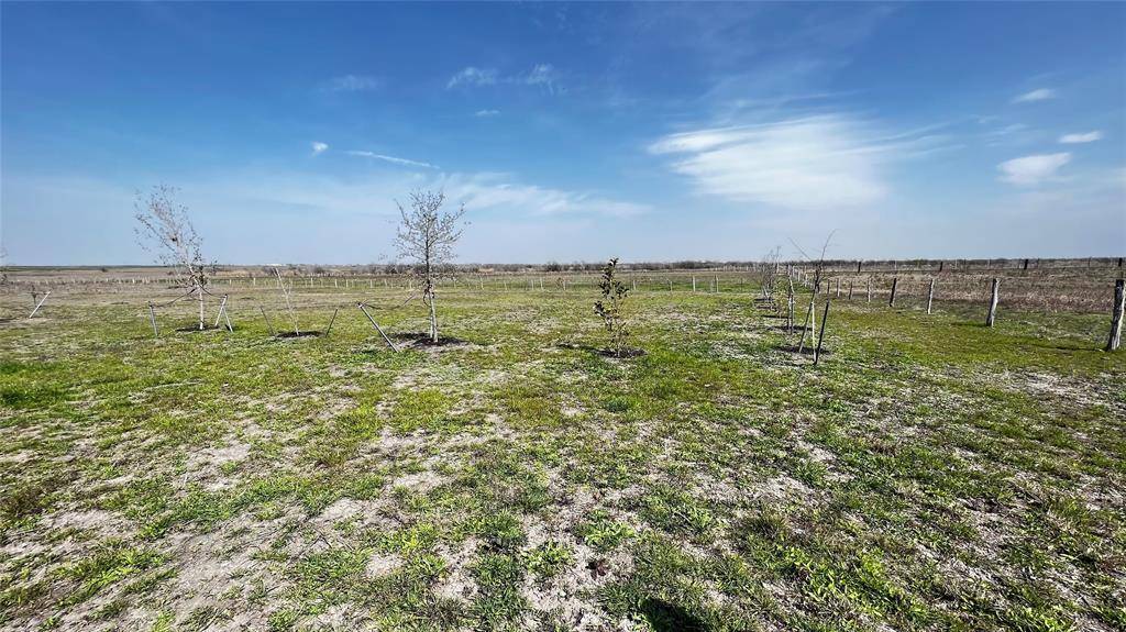 15900 Wells RD, Manor, TX 78653
