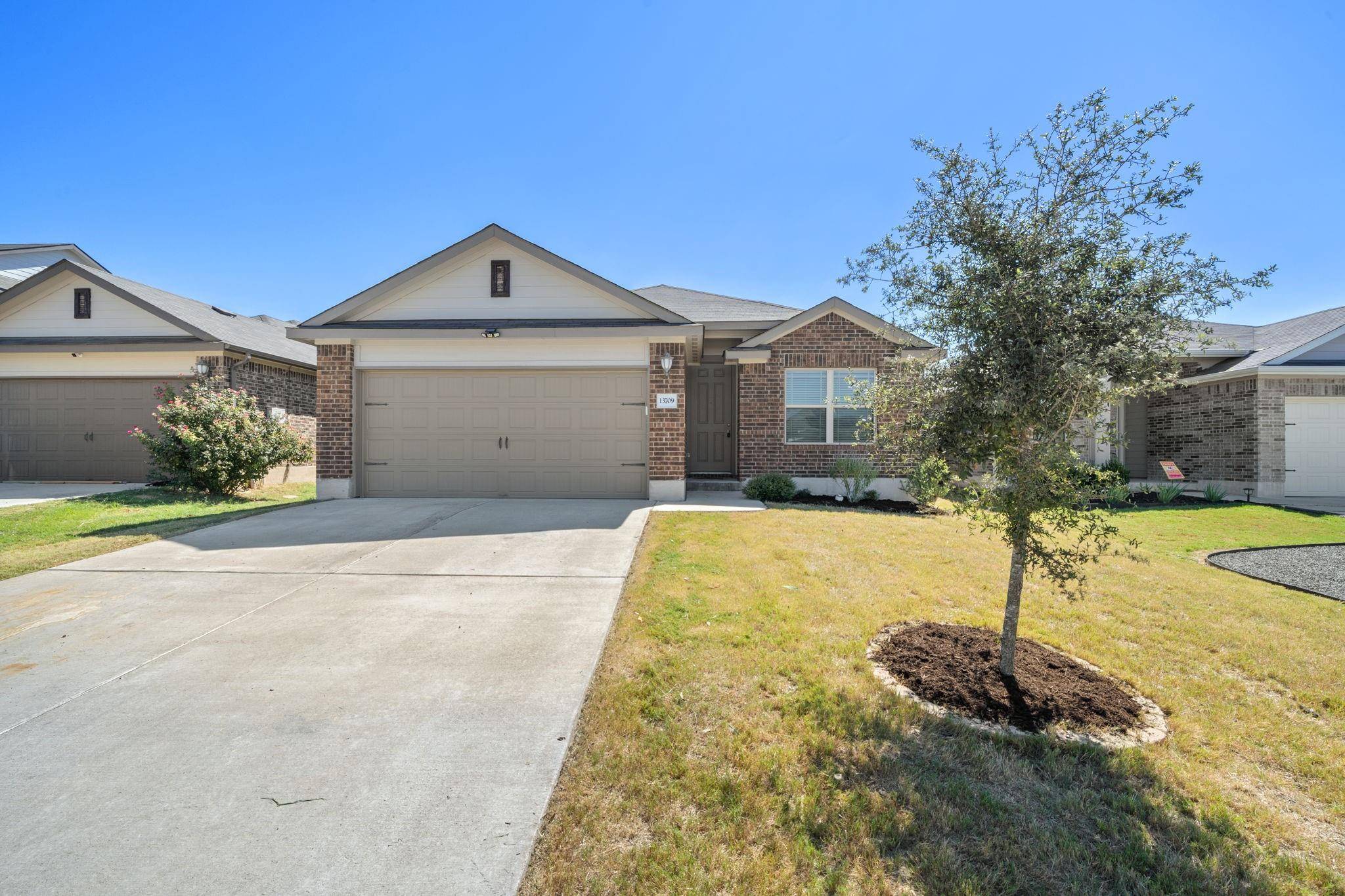 13709 Primrose Petal DR, Manor, TX 78653