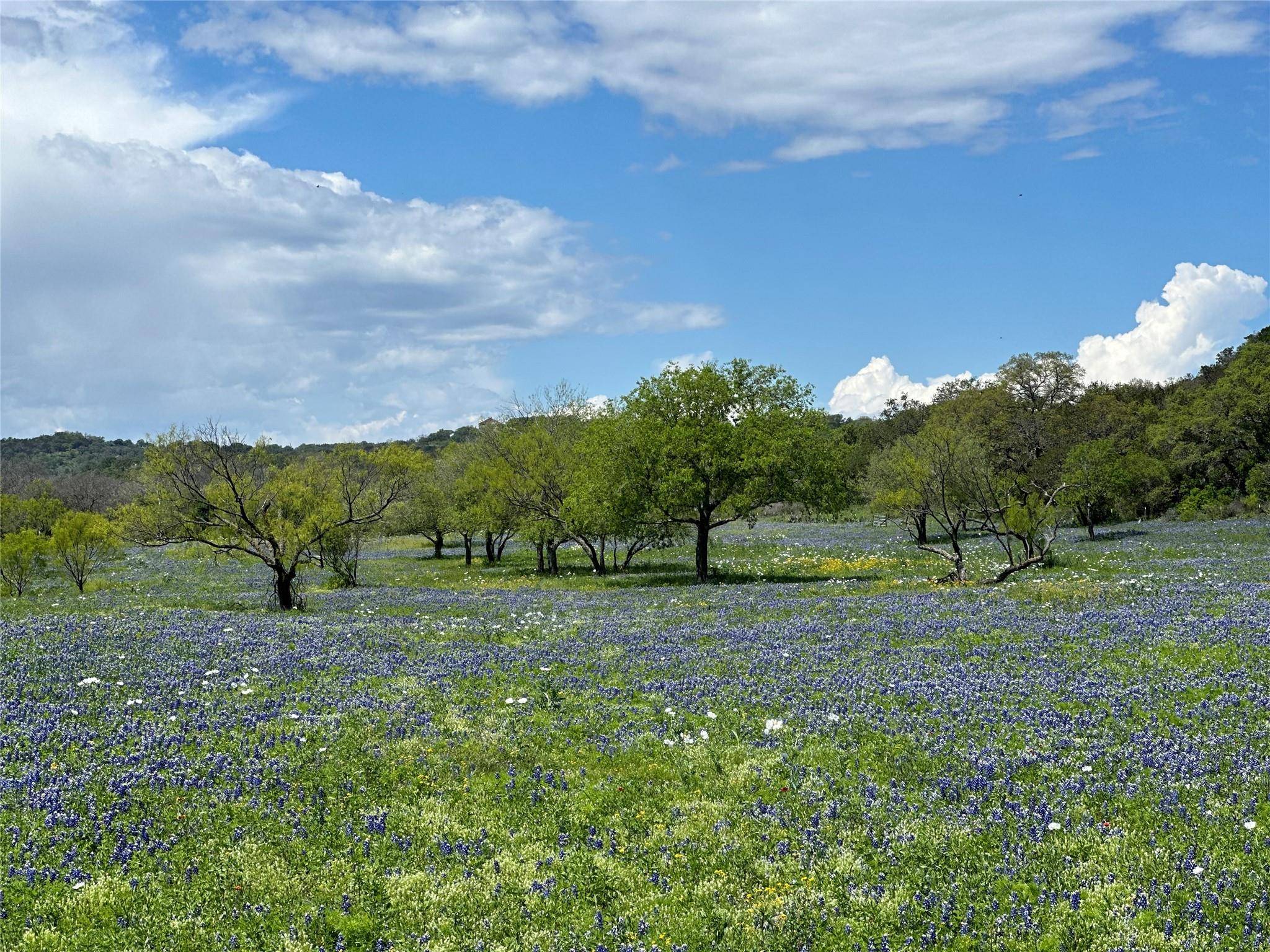 Lot 4 Stone Mountain DR, Marble Falls, TX 78654
