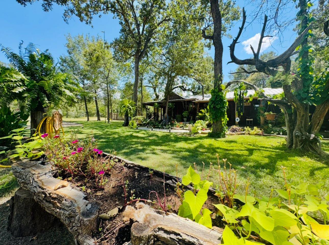 215 Overlook LOOP, Somerville, TX 77879