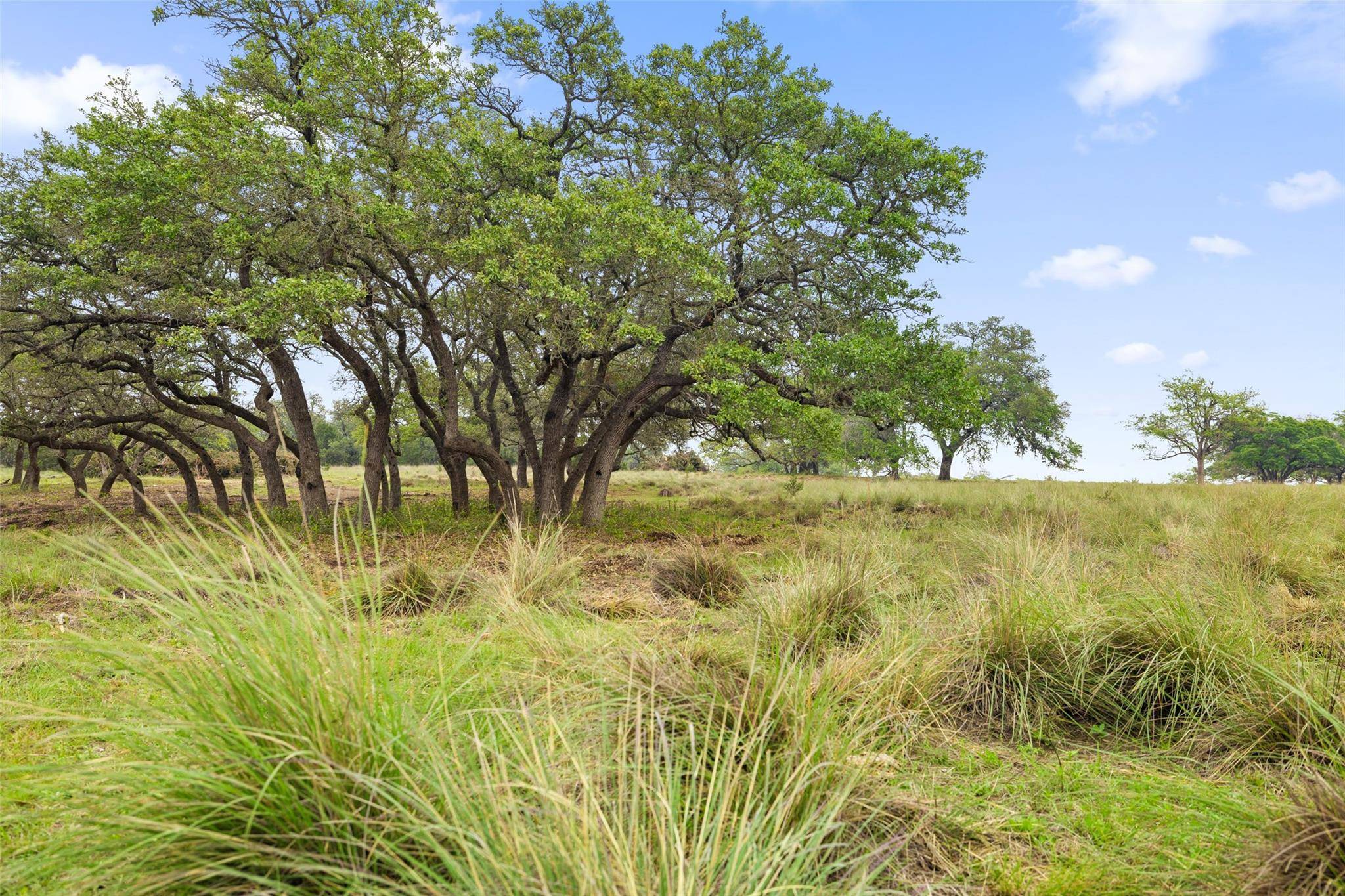 3680-4 Schumann RD, Fredericksburg, TX 78624