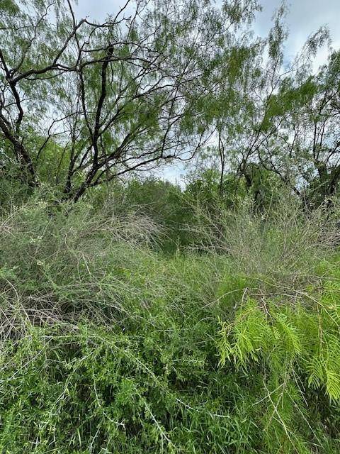 Address not disclosed, Marble Falls, TX 78654