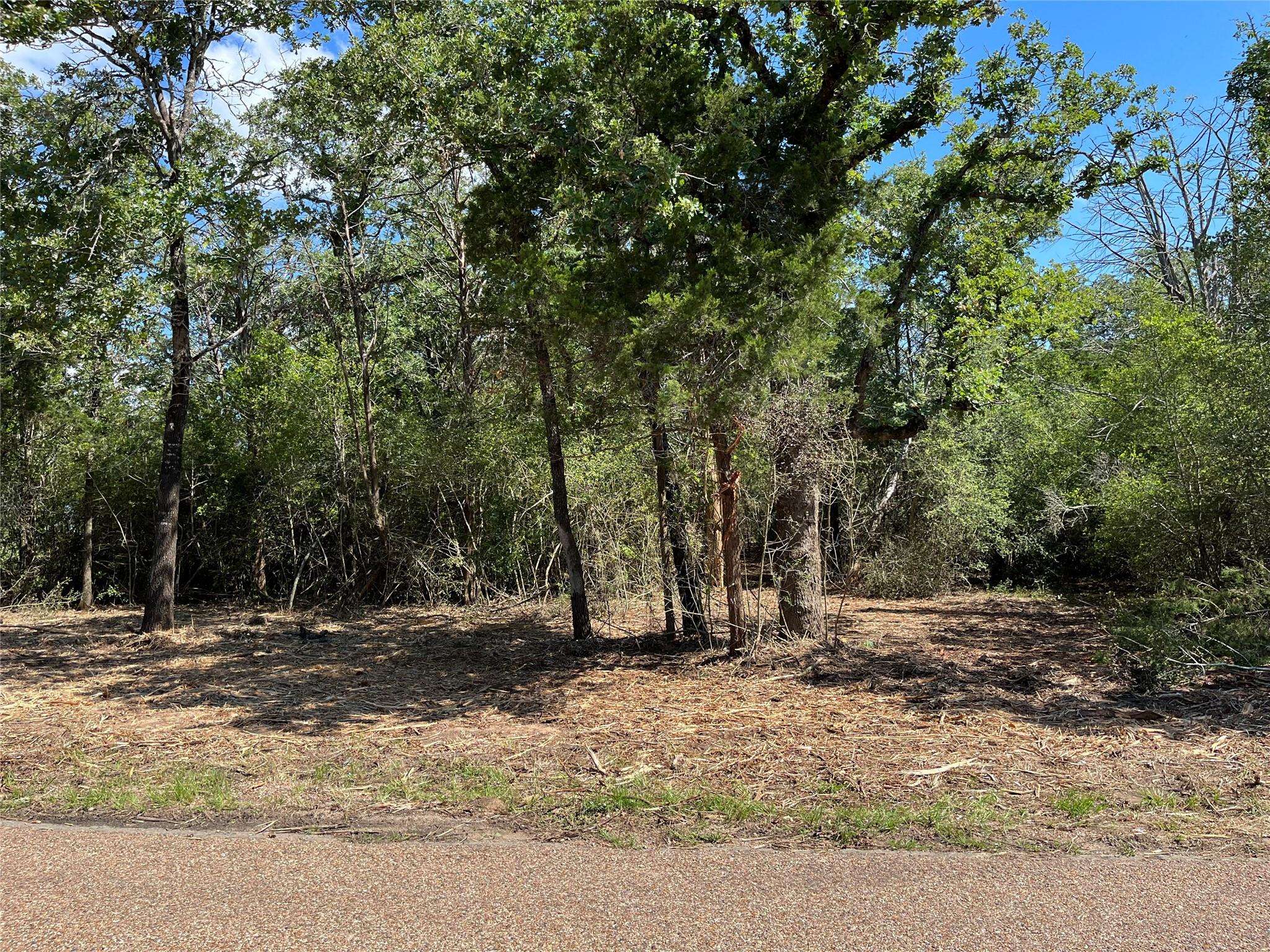 TBD Old Lockhart RD, Plum, TX 78952
