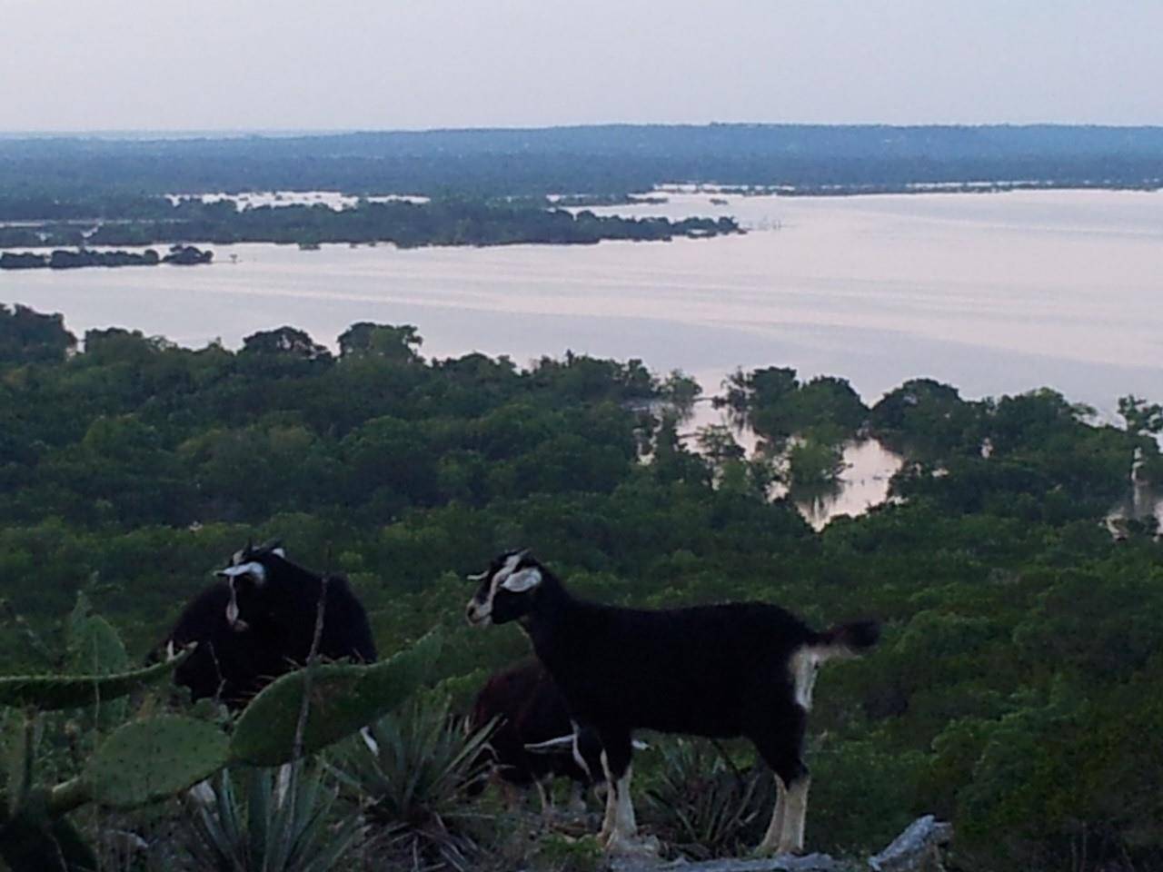13842 FM 56, Kopperl, TX 76652