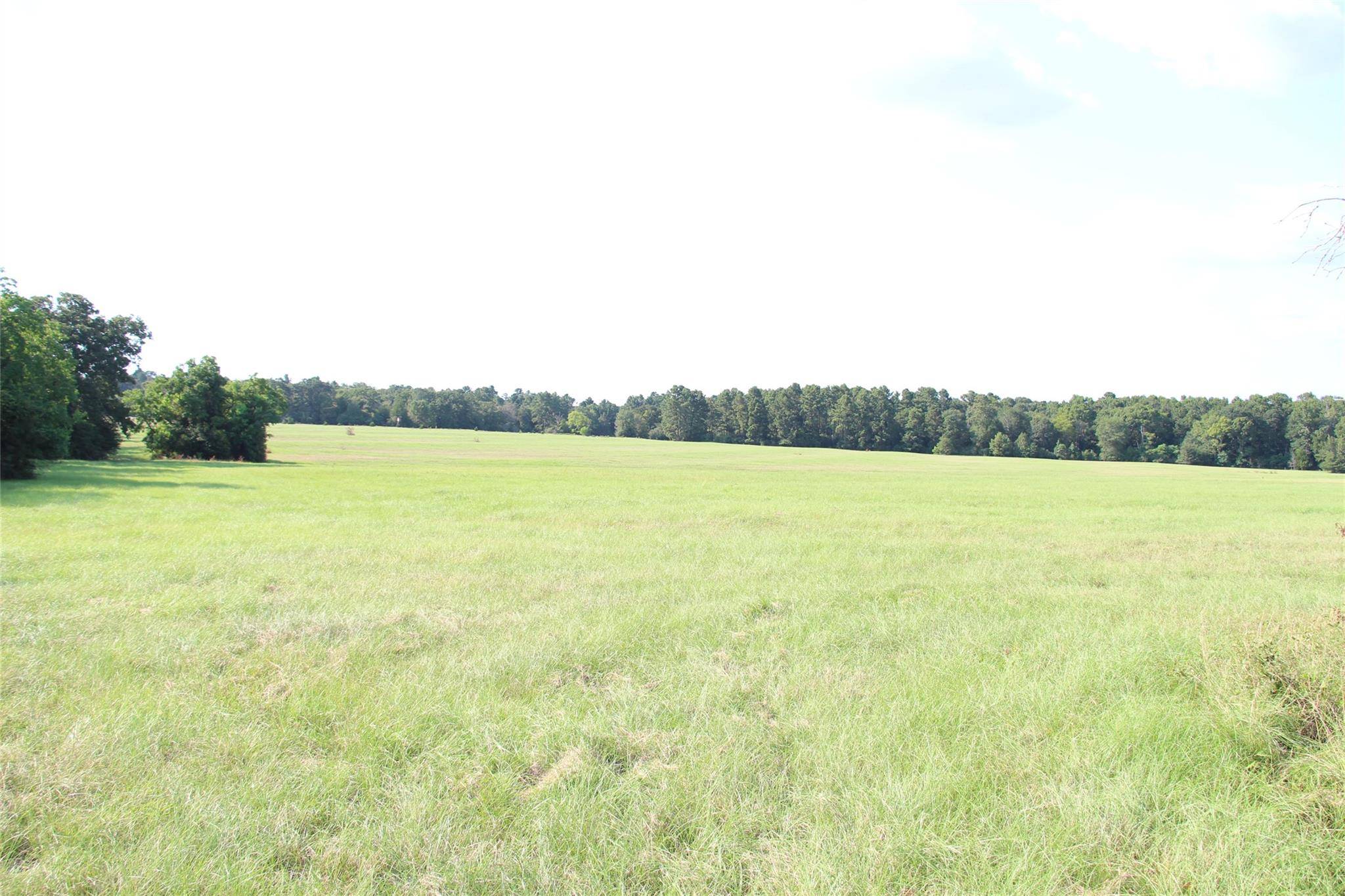 None County Road 3410, Crockett, TX 75851