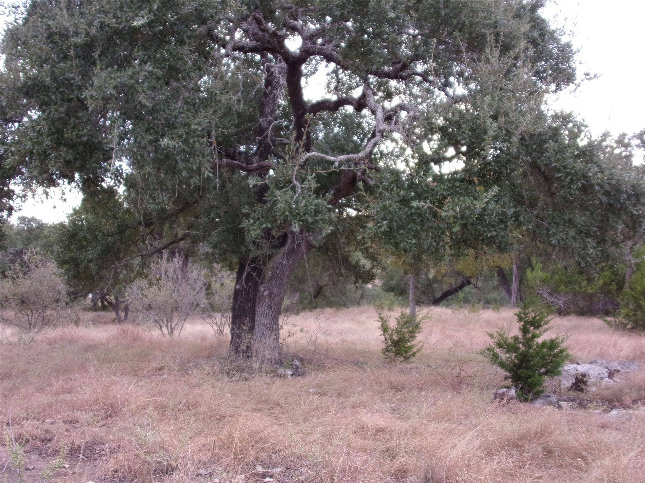 484 Havasu PT, Spring Branch, TX 78070