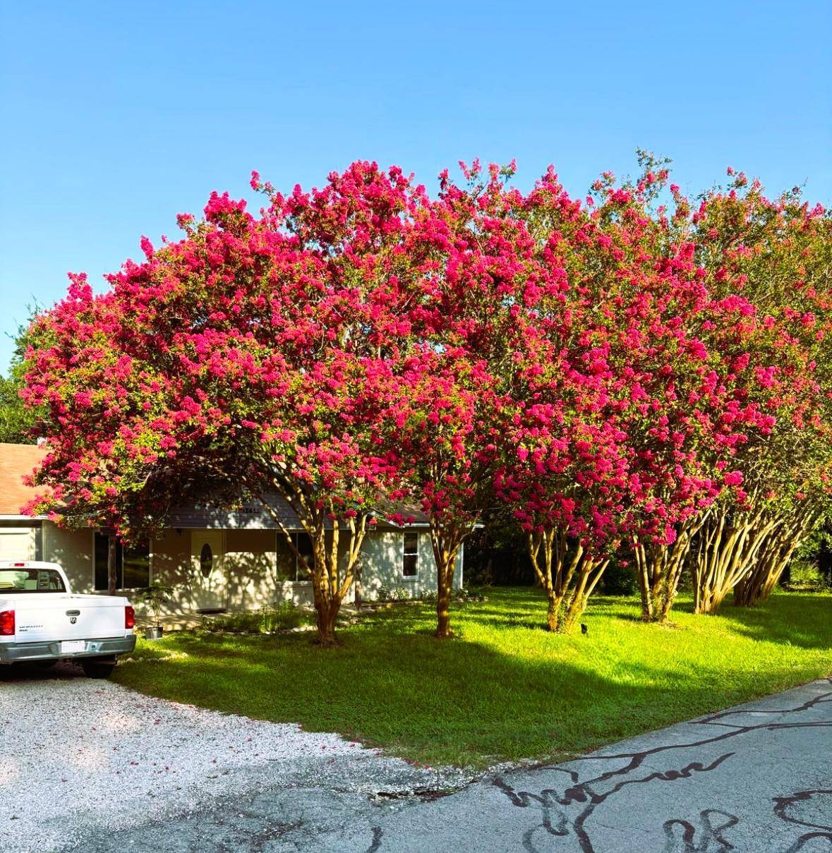 12613 Crystal Creek DR, Buda, TX 78610