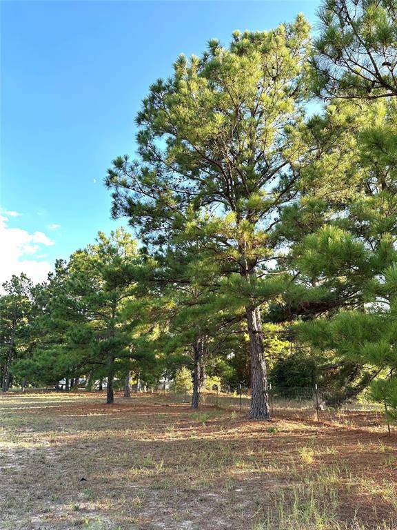 TBD Pine View LOOP, Bastrop, TX 78602