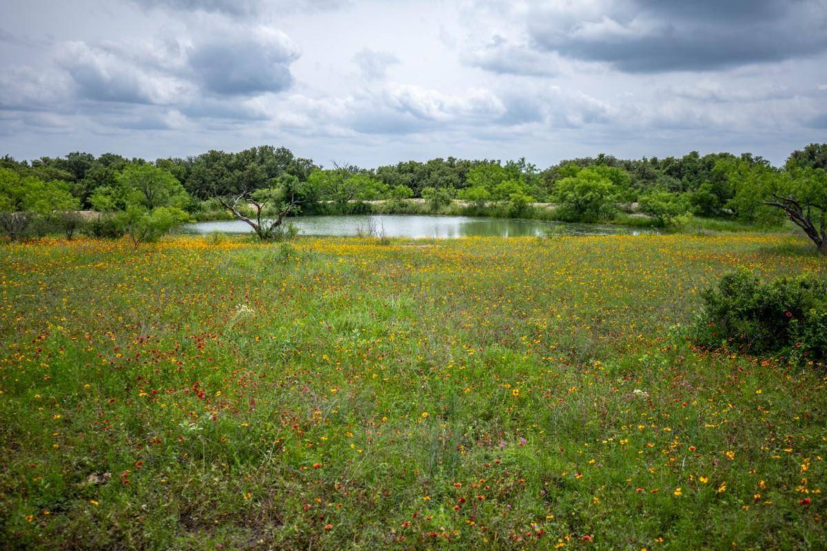 Tract 4 TBD County Road 292, Early, TX 76802