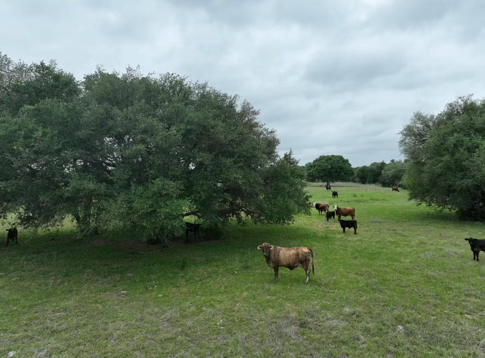 TBD Lot 2 County Road 127, Ledbetter, TX 78946