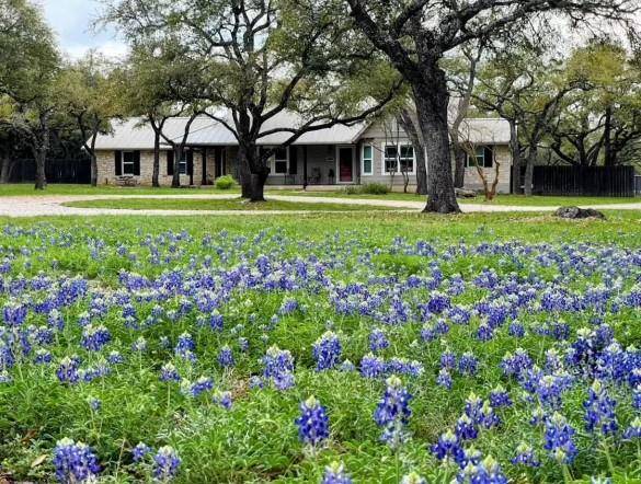401 Sunrise TER, Cedar Park, TX 78613