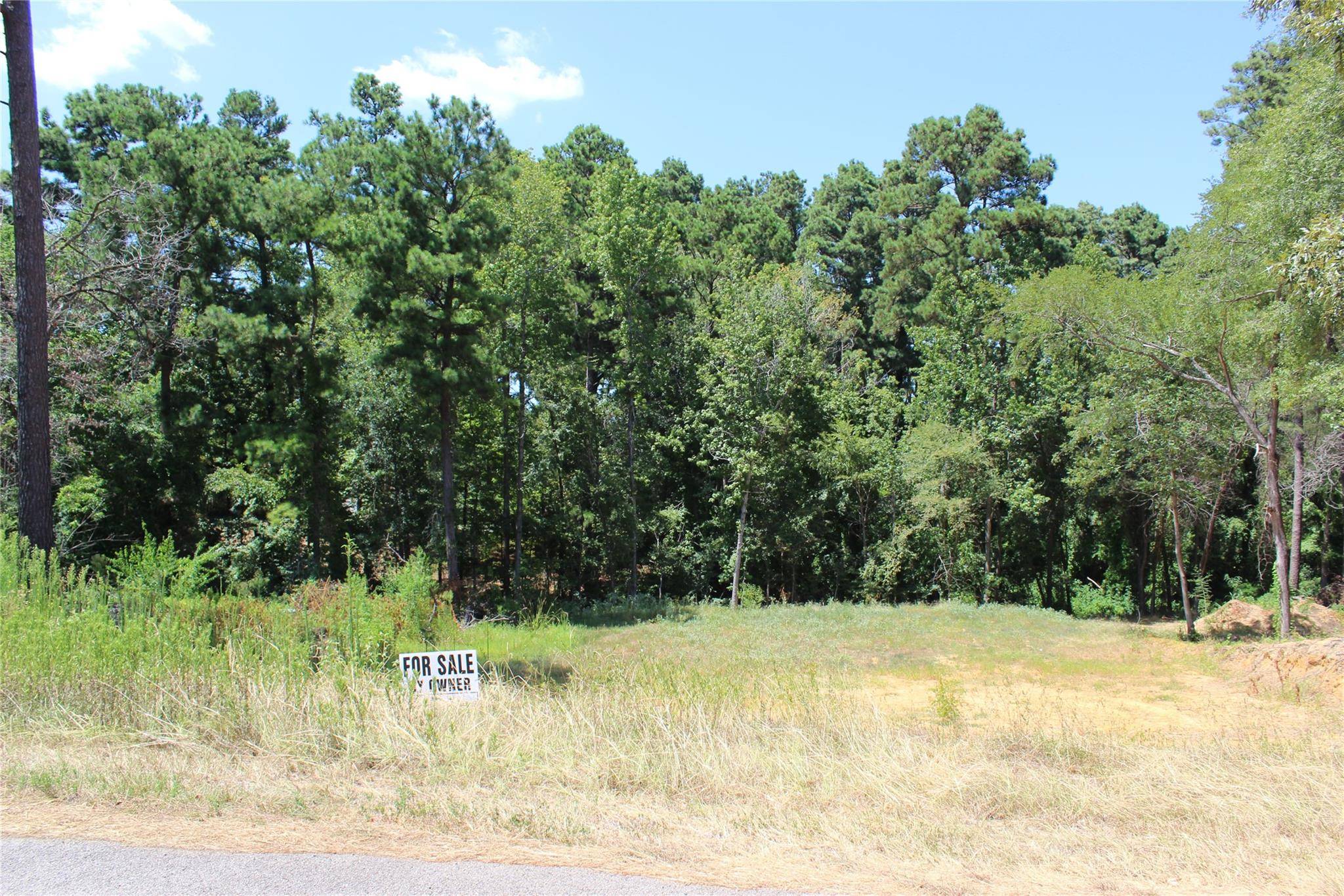 TBD Brierwood DR, Frankston, TX 75763