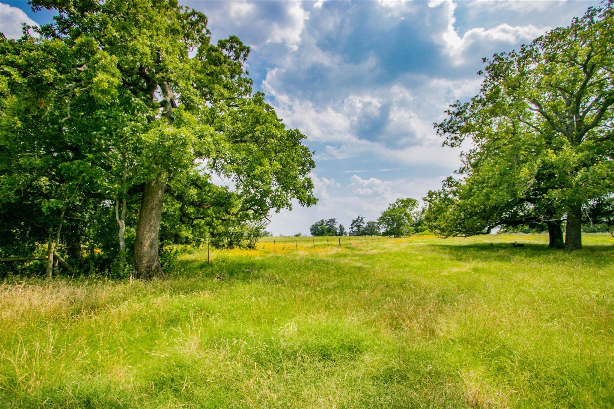 Lot 26 (5 Acres) Legacy RD, Caldwell, TX 77879