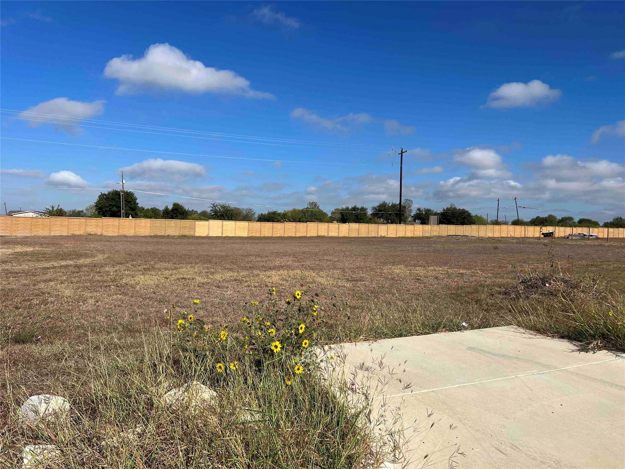 550 Conchas ST, Kyle, TX 78640