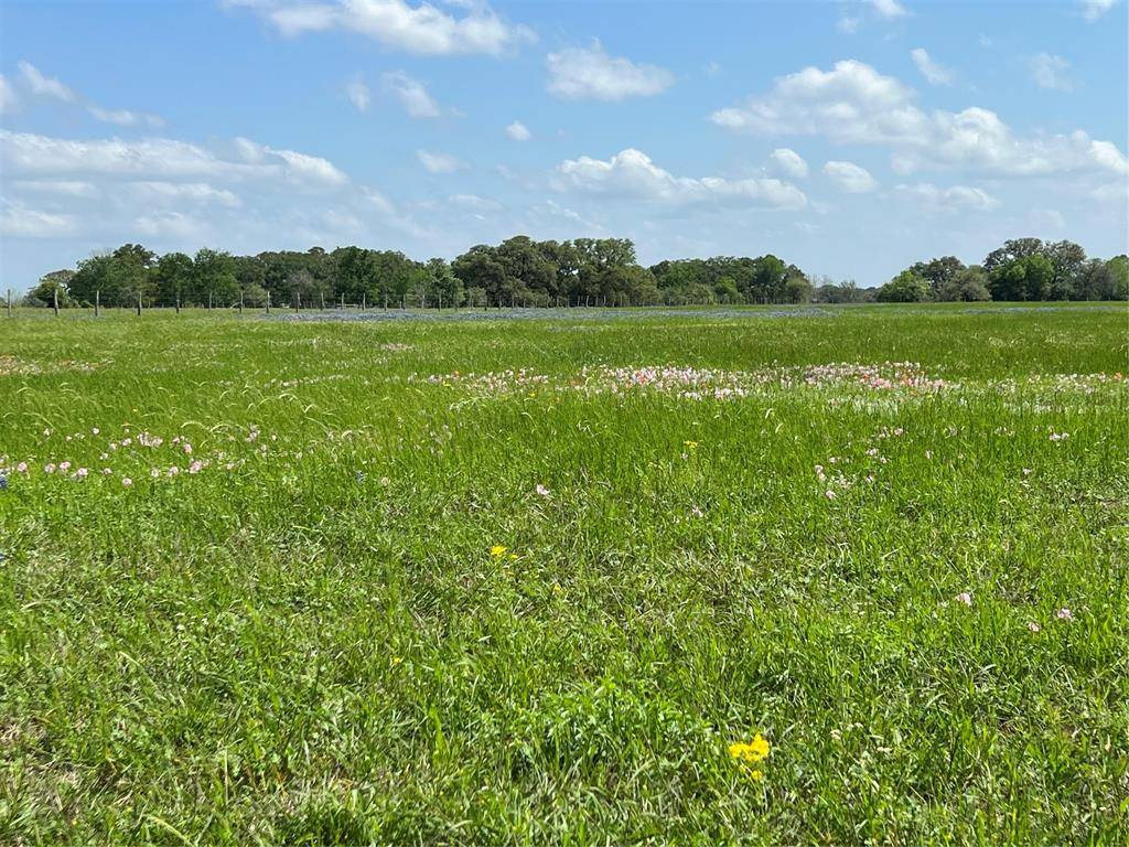 Tract 2 CR 235, Hallettsville, TX 77975