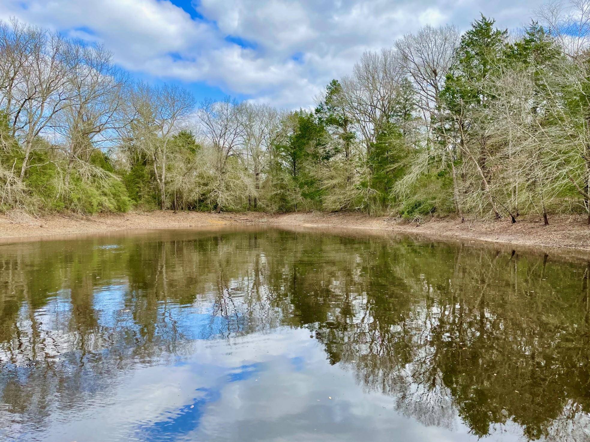 15186 County Road 459, Hilltop Lakes, TX 77871