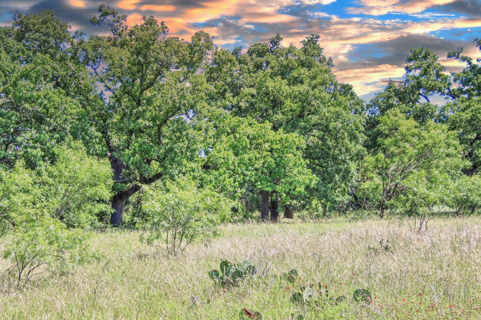 Lot 4 RM 1323, Willow City, TX 78675