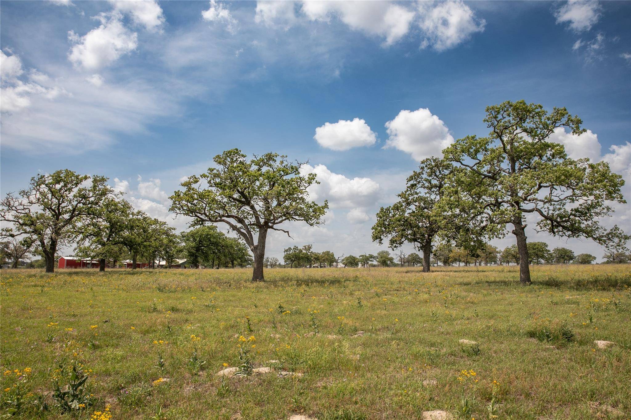 4254 FM 180 RD, Ledbetter, TX 78946