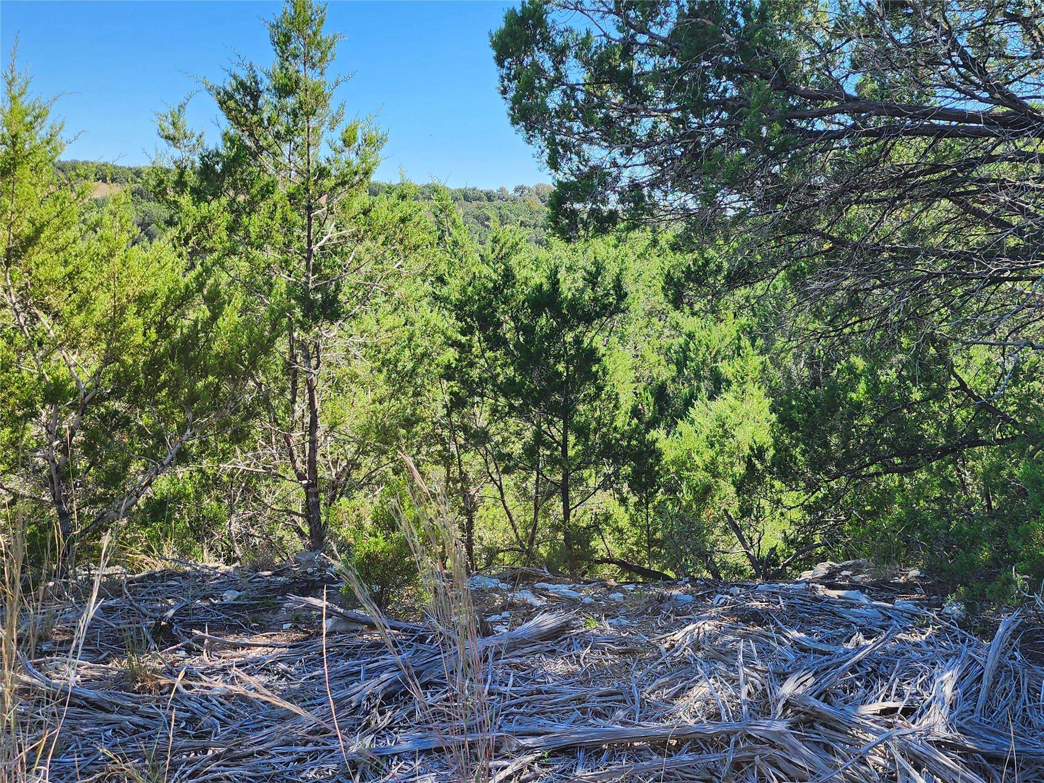 Lot 74 Bluff View RD, Kempner, TX 76539