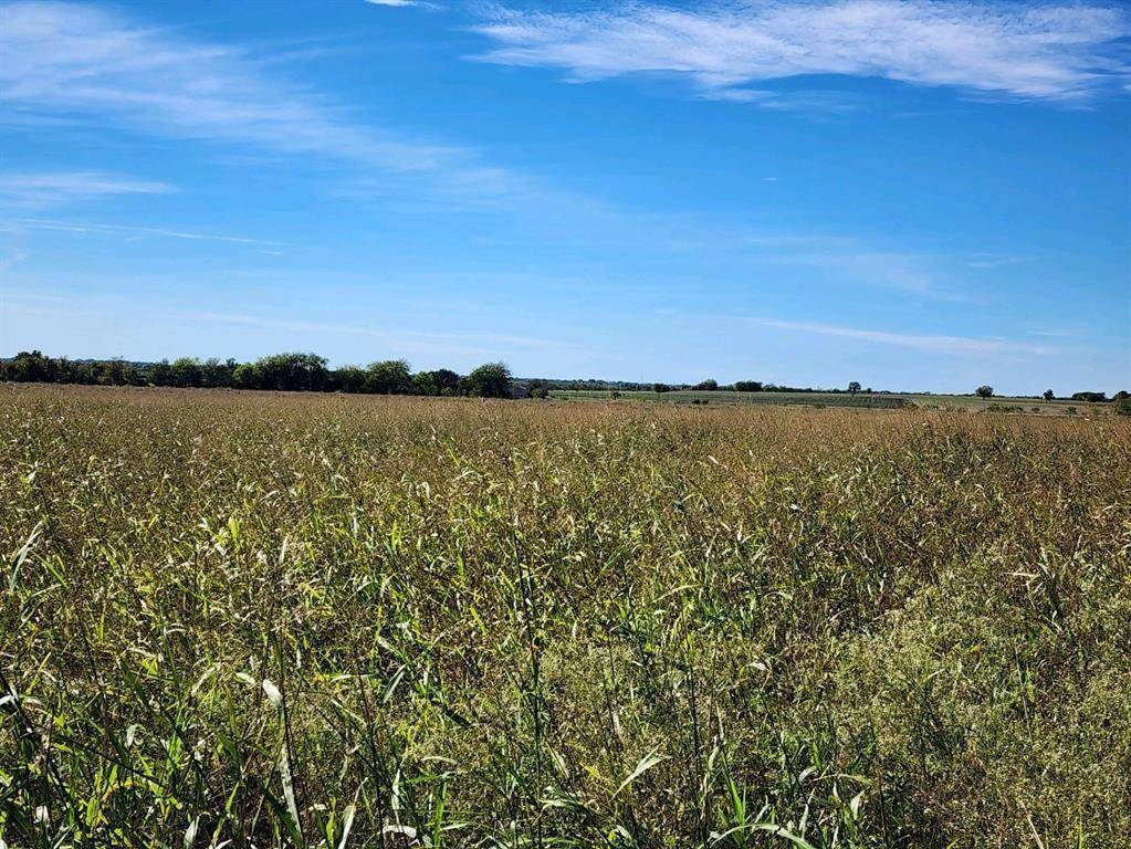 0000 FM 3061, Thorndale, TX 76577