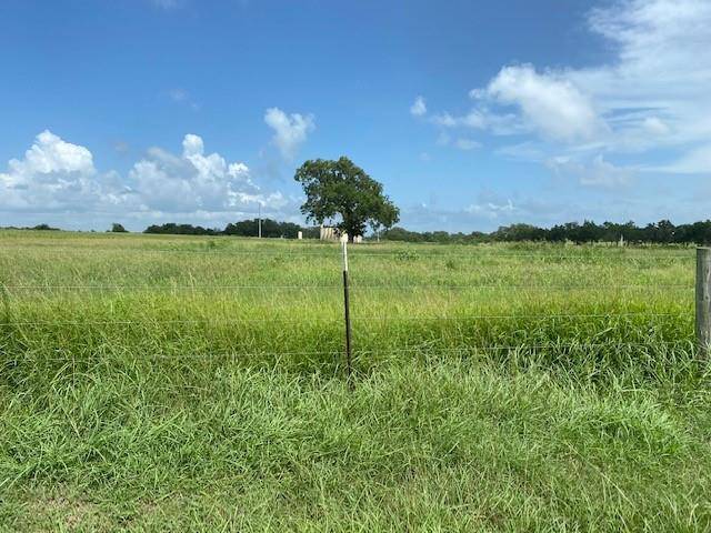 TBD STATE HWY 95 S, Shiner, TX 77984