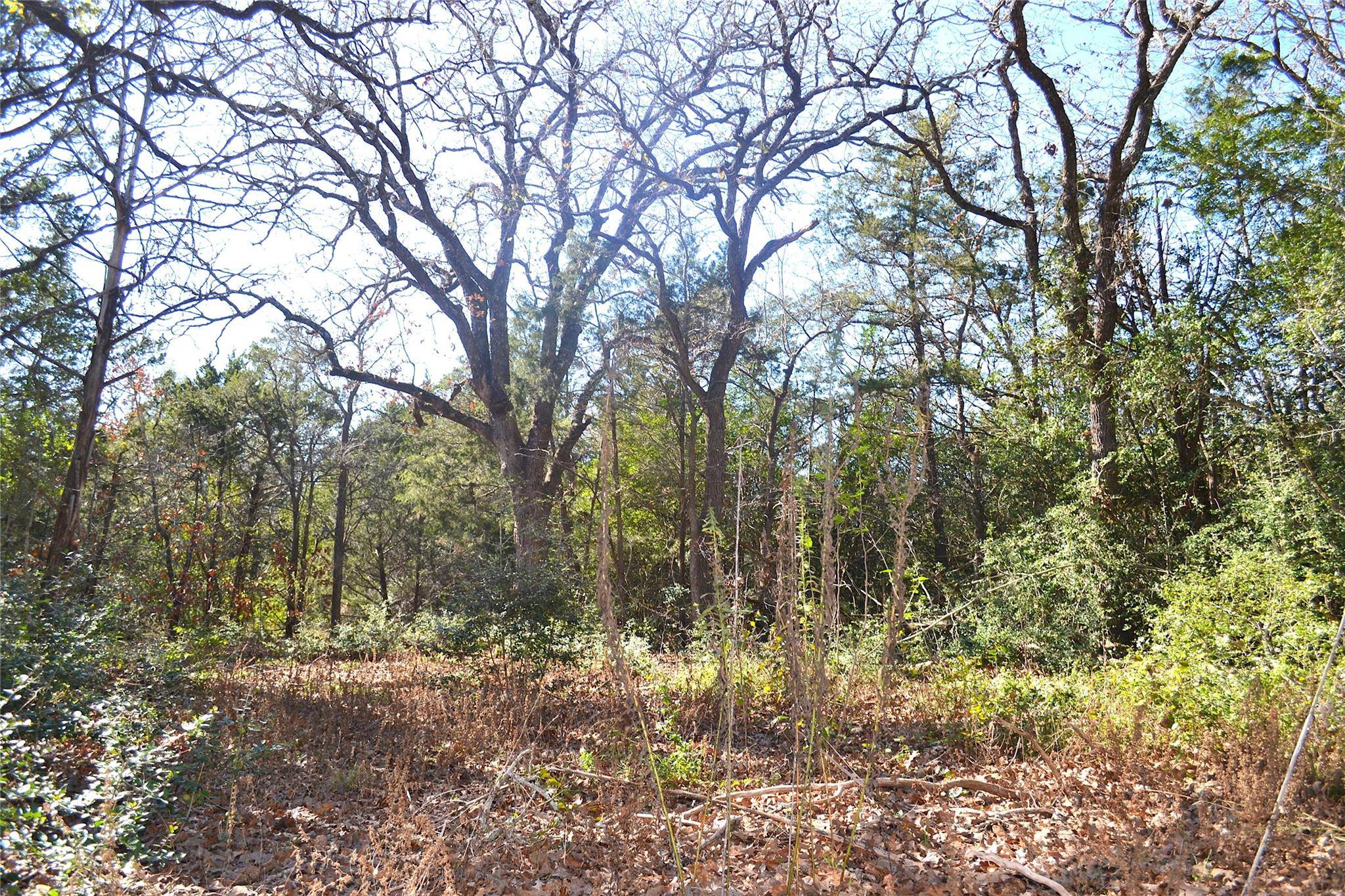 10318-1 Parsons RD, Manor, TX 78653