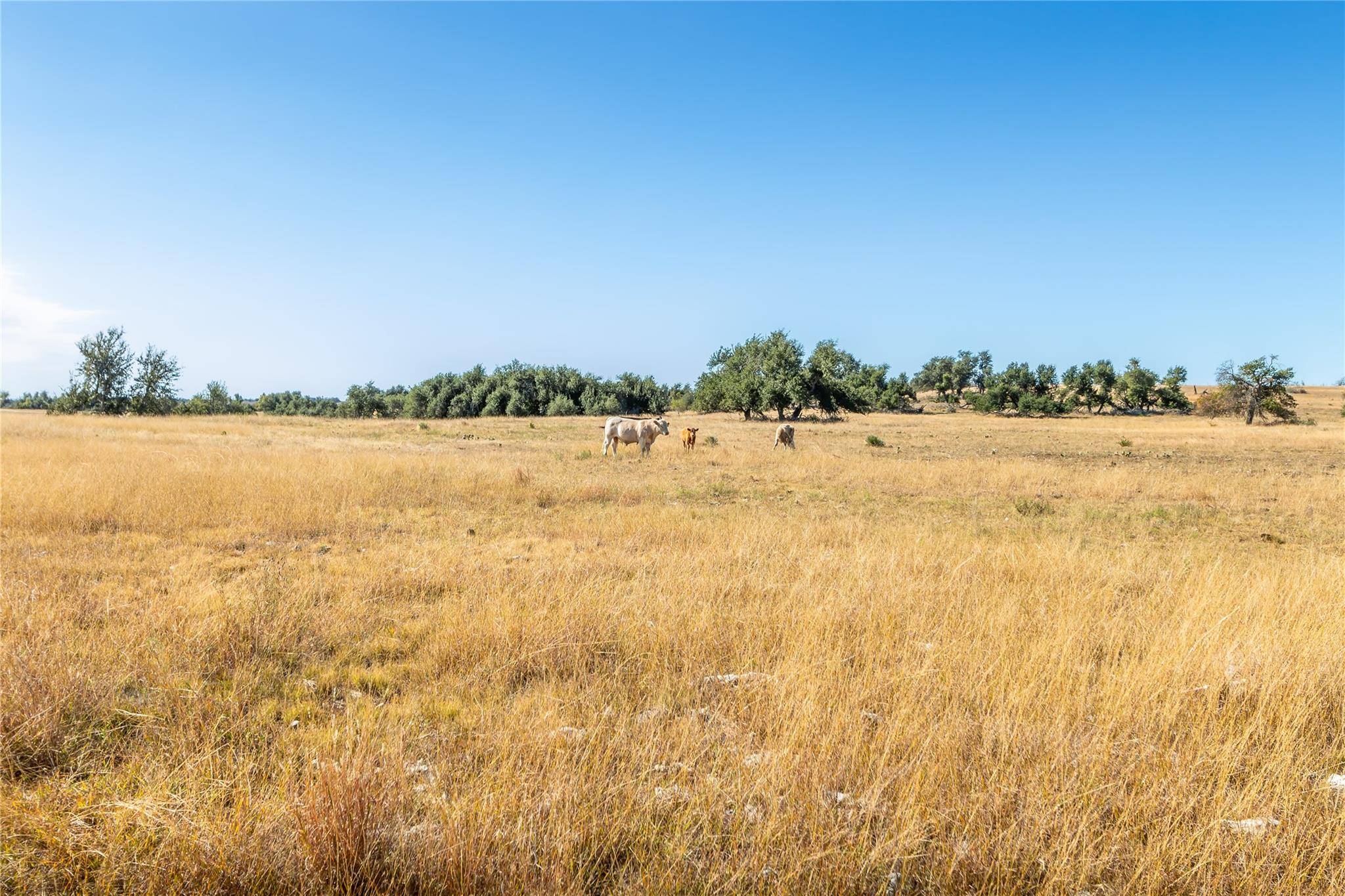 315 Junker Hill DR, Fredericksburg, TX 78624
