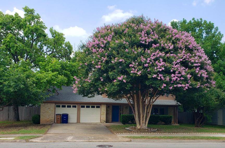 1504 Colony Creek DR, Austin, TX 78758