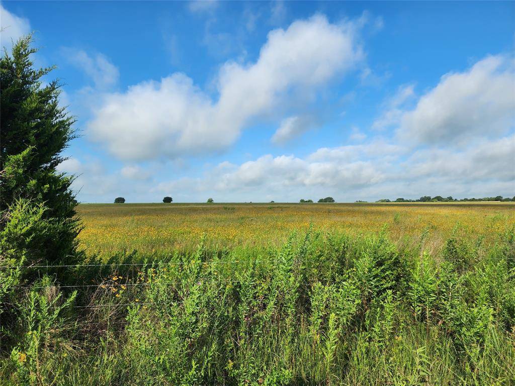 Tr 2 Meier RD, Sealy, TX 77474