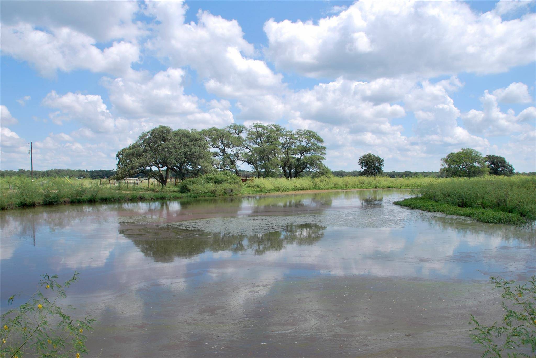 Address not disclosed, Hallettsville, TX 77964